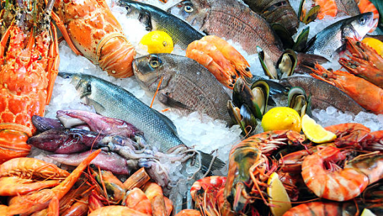 Tailles legales de capture des coquillages, crustaces et poissons